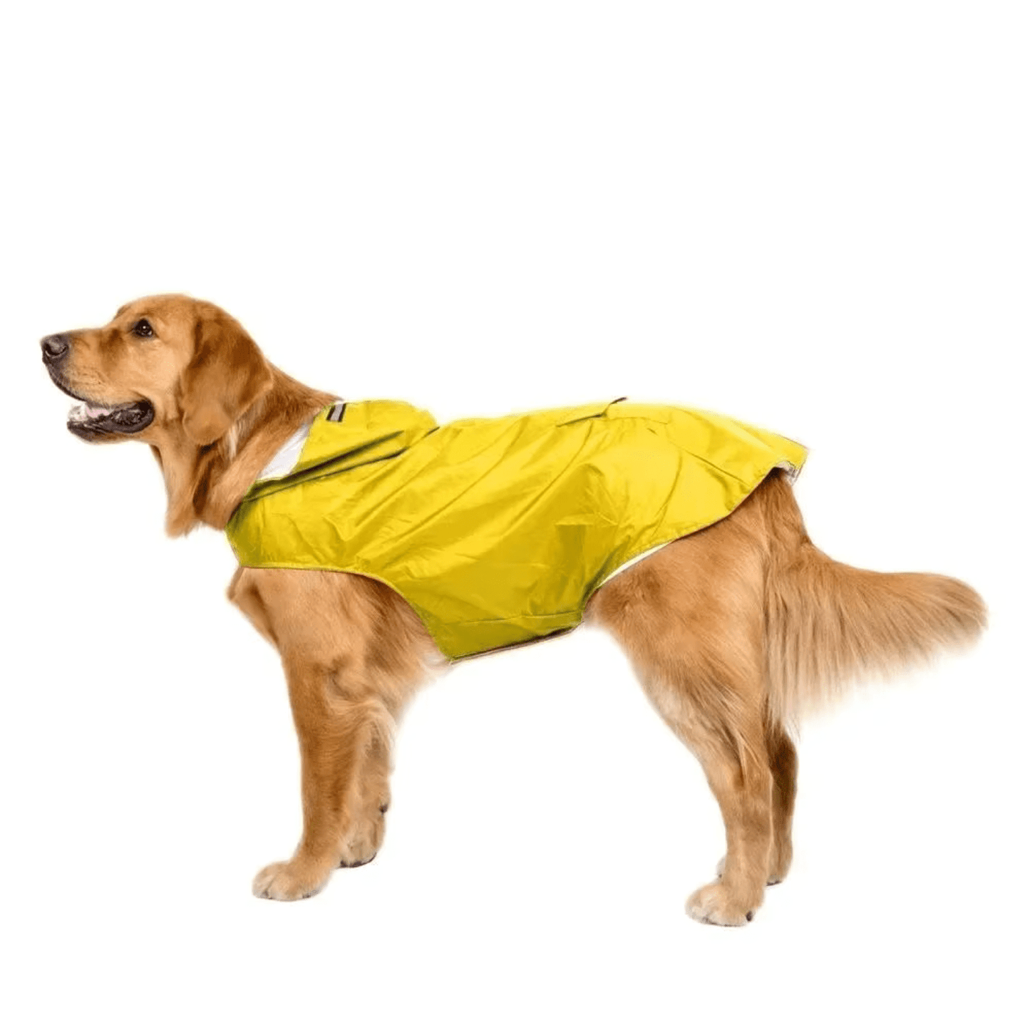 Waterproof Dog Raincoat with Reflective Tape and Leash Hole – Lightweight and Comfortable for All Seasons 6