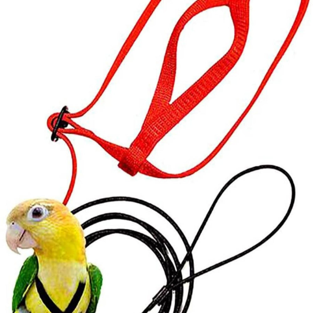 Parrot Harness & Flying Rope – Safe Outdoor Flight Gear for Birds