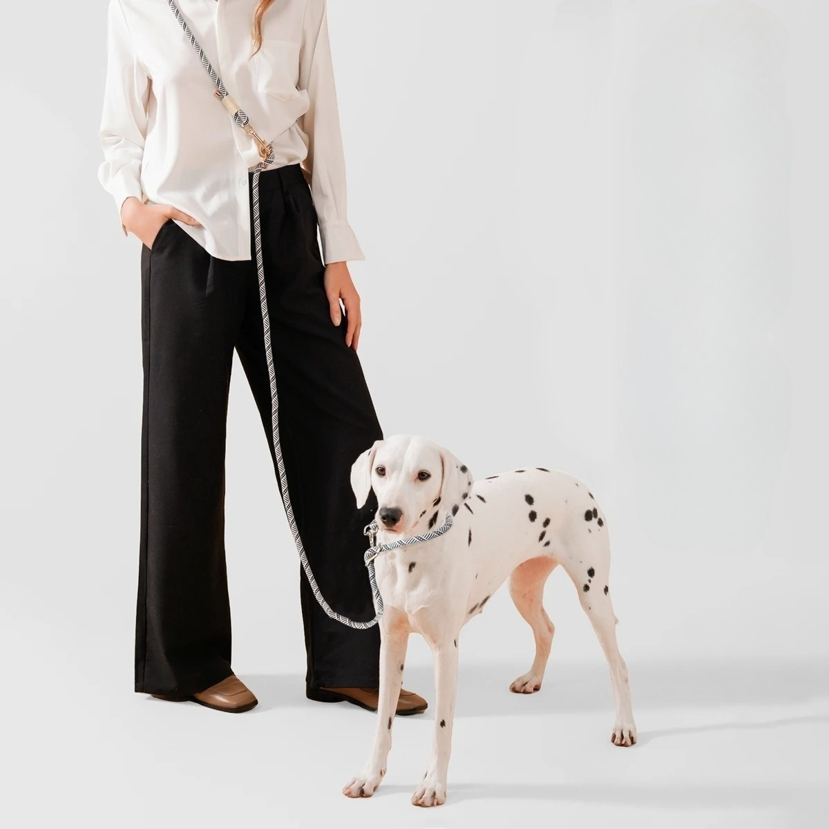 10-in-1 Hands-Free Dog Leash for Running, Walking, and Training - Adjustable Multi-Functional Dog Lead for All Sizes 1