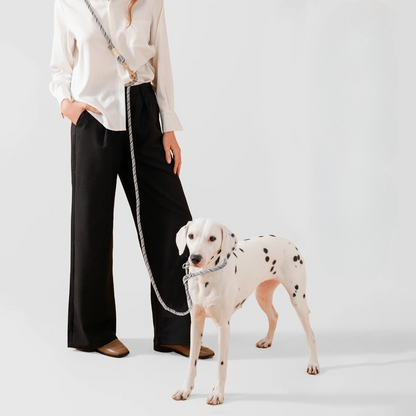 10-in-1 Hands-Free Dog Leash for Running, Walking, and Training - Adjustable Multi-Functional Dog Lead for All Sizes 1