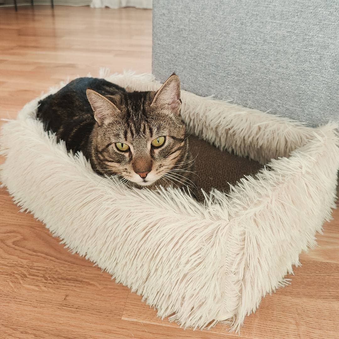 2-in-1 Cat Bed and Scratcher with Raised Sides – Comfortable and Stylish Design for Indoor Use, Neutral Tones 7