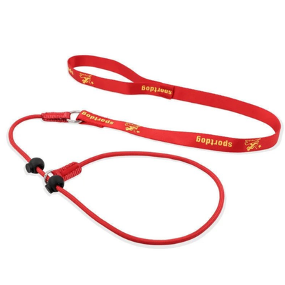 2-in-1 Dog Leash and Collar, Adjustable No-Pull Slip Leash for Training – Durable Nylon Rope, Black and Red, 200 cm for All Dog Sizes 10