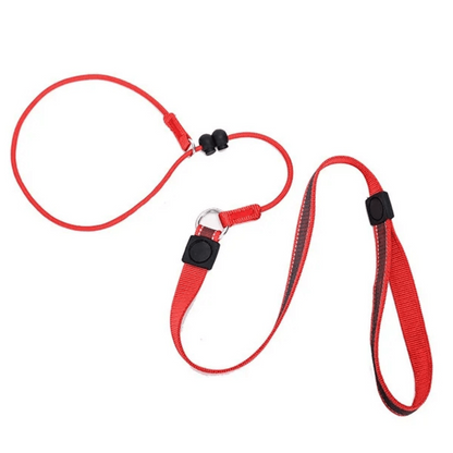 2-in-1 Dog Leash and Collar, Adjustable No-Pull Slip Leash for Training – Durable Nylon Rope, Black and Red, 200 cm for All Dog Sizes 11
