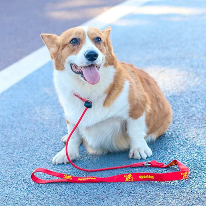 2-in-1 Dog Leash and Collar, Adjustable No-Pull Slip Leash for Training – Durable Nylon Rope, Black and Red, 200 cm for All Dog Sizes 4