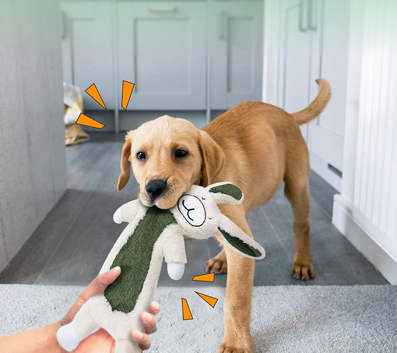 2 Pack No Stuffing Crinkle Dog Toys – Durable Rabbit & Sloth Designs for Engaging Play and Dental Health 3