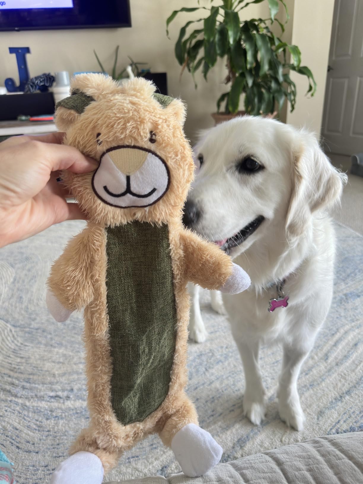 2 Pack No Stuffing Crinkle Dog Toys – Durable Rabbit & Sloth Designs for Engaging Play and Dental Health 6