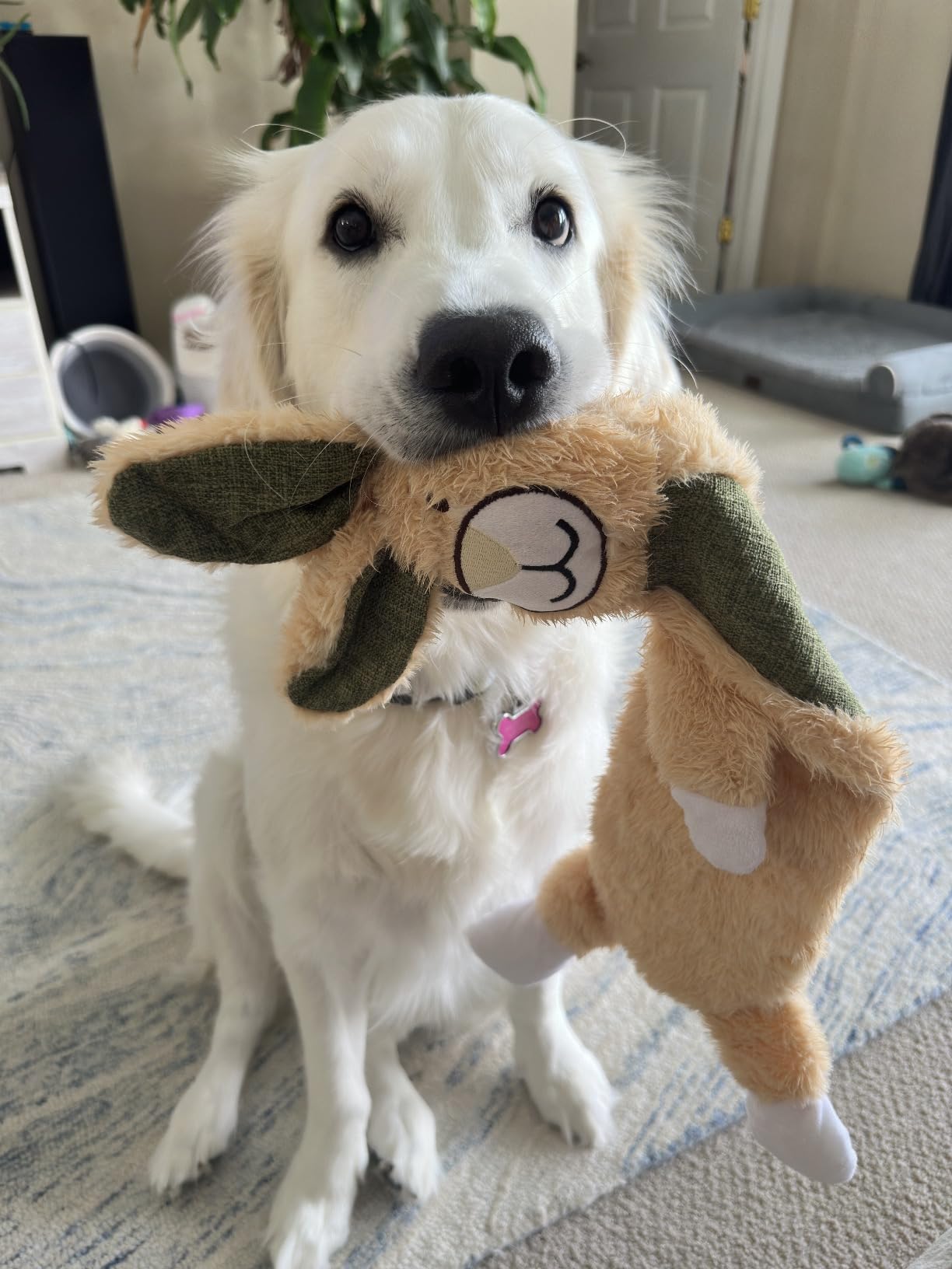 2 Pack No Stuffing Crinkle Dog Toys – Durable Rabbit & Sloth Designs for Engaging Play and Dental Health 7