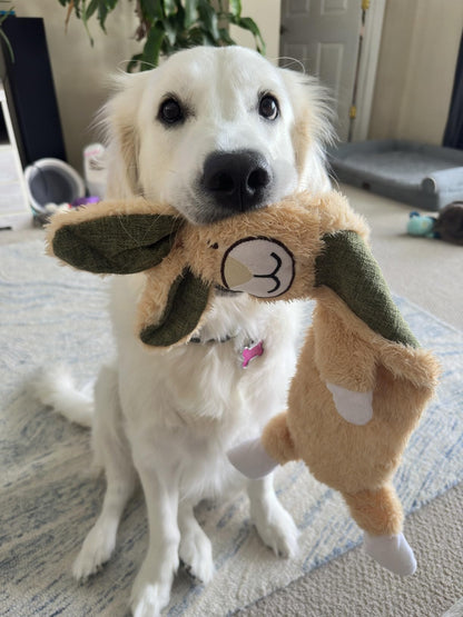 2 Pack No Stuffing Crinkle Dog Toys – Durable Rabbit & Sloth Designs for Engaging Play and Dental Health 7