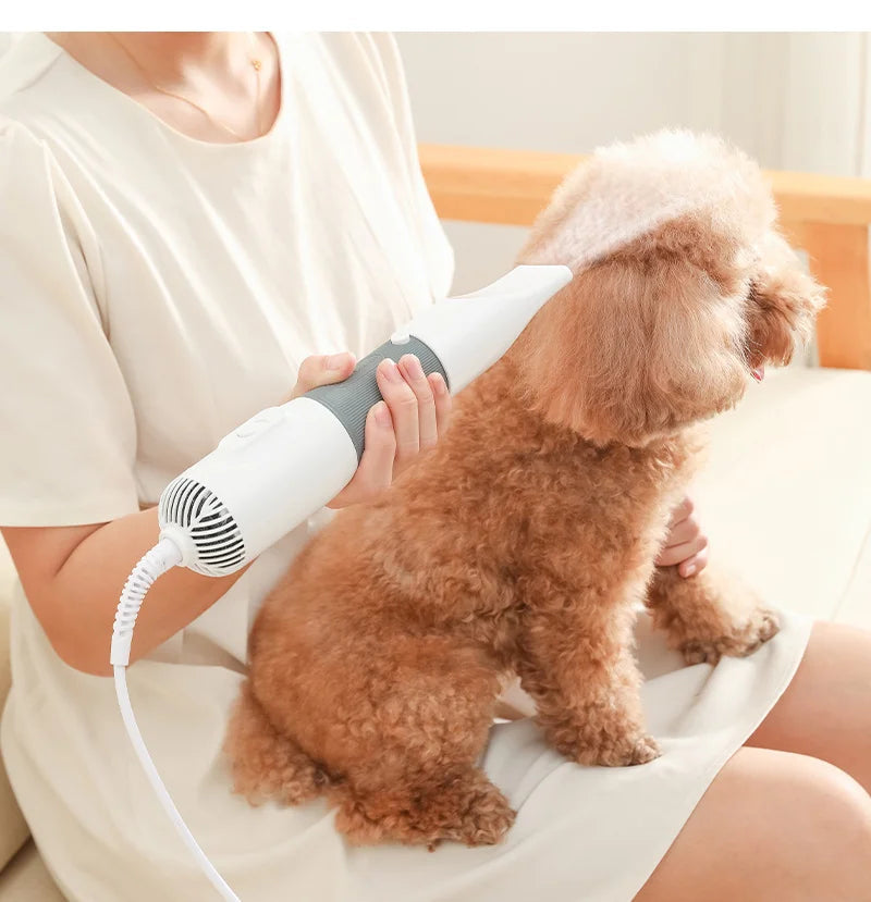 3-in-1 dog grooming tool featuring a hair dryer and brush, designed with pet-safe durable materials, suitable for all dog breeds. 1