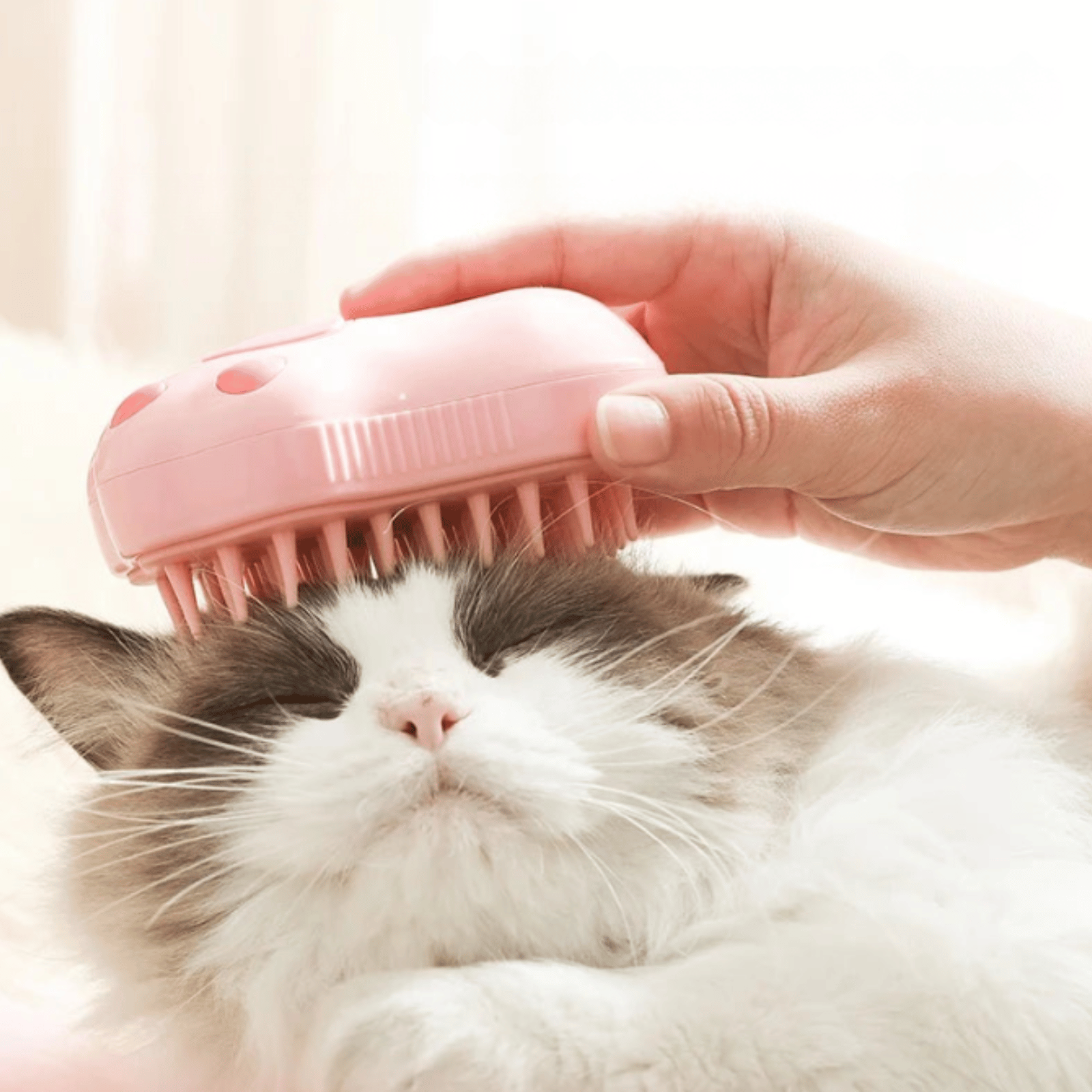 3-in-1 Steam Pet Brush for Cats and Dogs - Grooming, Cleaning, Massaging Tool with USB Rechargeable Design 2