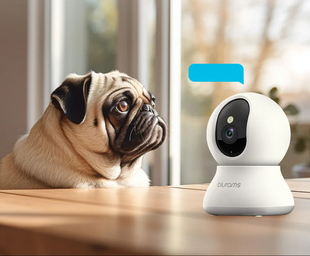 360° Indoor Pet Camera with 2K Resolution, Two-Way Audio, and Night ...