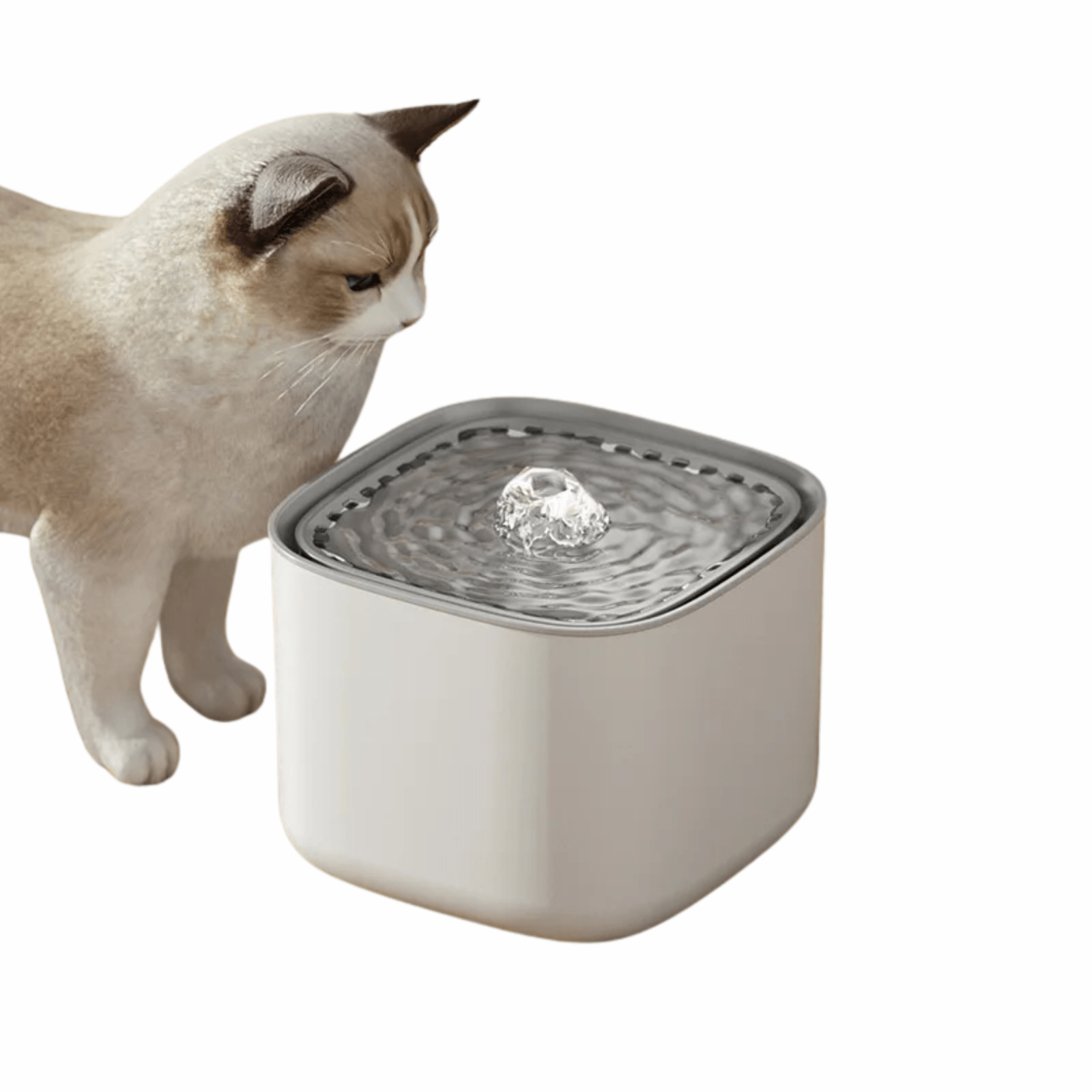 3L Automatic Cat Water Fountain with Multi-Layer Filtration – USB Powered, Quiet Cat Drinking Fountain for Hydration 1
