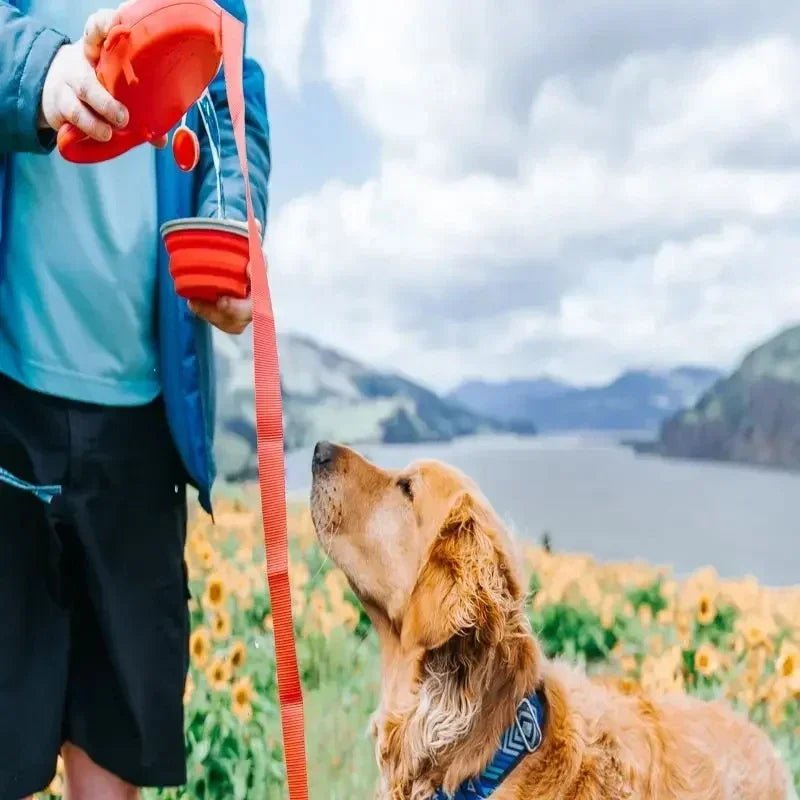 4-in-1 Multifunctional Dog Leash with Water Bottle, Bowl, and Poop Bag Holder 5