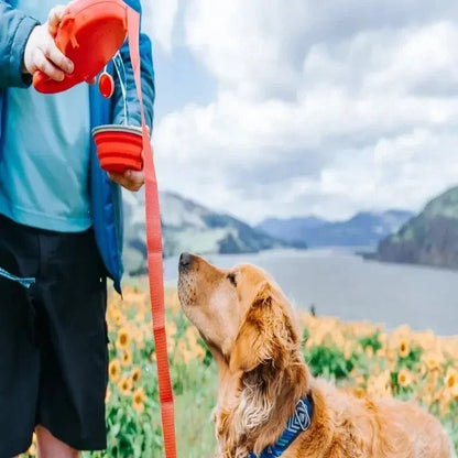 4-in-1 Multifunctional Dog Leash with Water Bottle, Bowl, and Poop Bag Holder 5