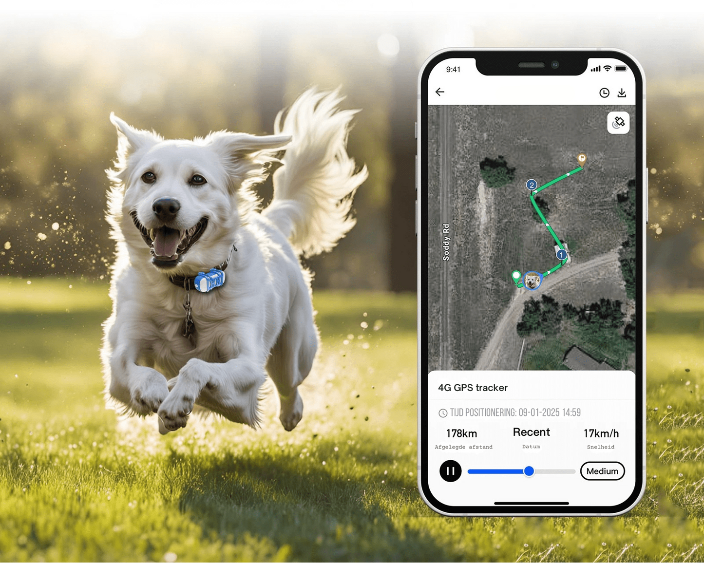 4G GPS Dog Tracker - Real-Time Location, Waterproof, Lightweight GPS Dog Collar with Geofencing and Historical Route Tracking 4