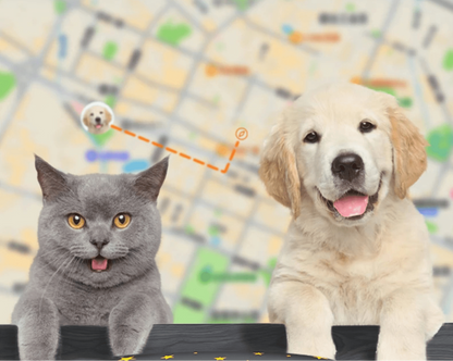 4G GPS Dog Tracker with Real-Time Location and Waterproof Design – Compact Dog Tracking Collar 3