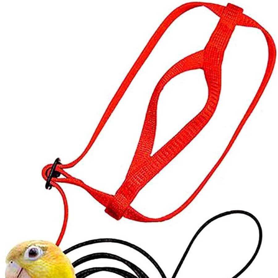 Parrot Harness & Flying Rope – Safe Outdoor Flight Gear for Birds