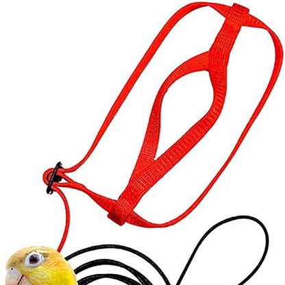 Parrot Harness & Flying Rope – Safe Outdoor Flight Gear for Birds