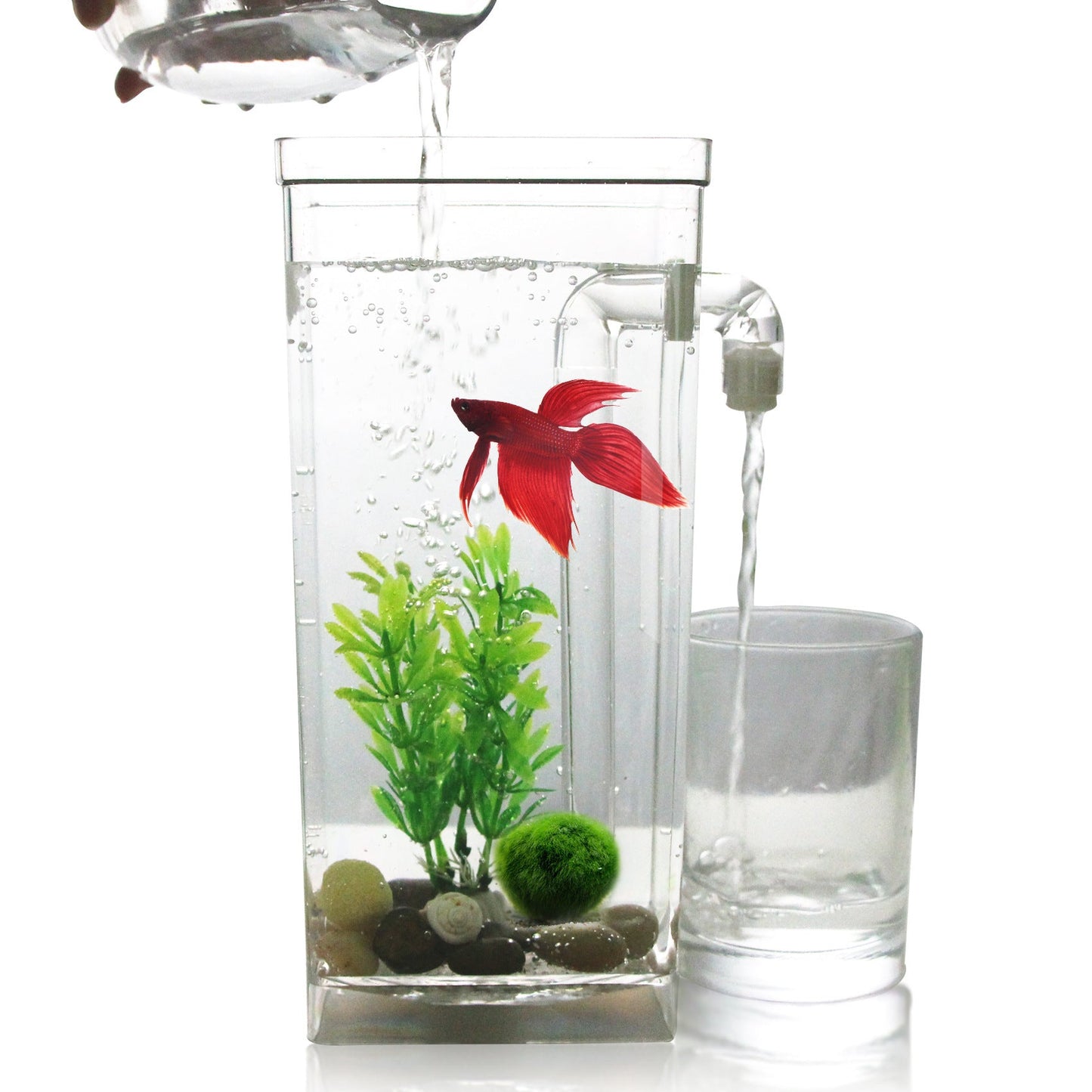 AquaCharm Mini Goldfish Tank – Creative Plastic Aquarium for Small Spaces