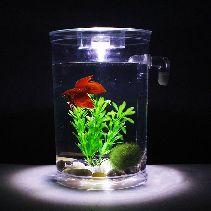 AquaCharm Mini Goldfish Tank – Creative Plastic Aquarium for Small Spaces