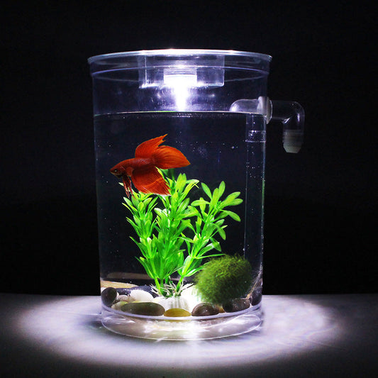 AquaCharm Mini Goldfish Tank – Creative Plastic Aquarium for Small Spaces