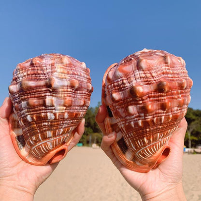 AquaTreasure Decorative Aquarium Ornaments – Stylish Fish Tank Landscaping Gifts