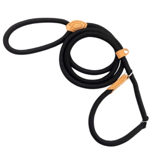 Adjustable 2-in-1 Nylon Dog Leash and Collar – 150cm P-Shape Design for Effective Training, Black 0