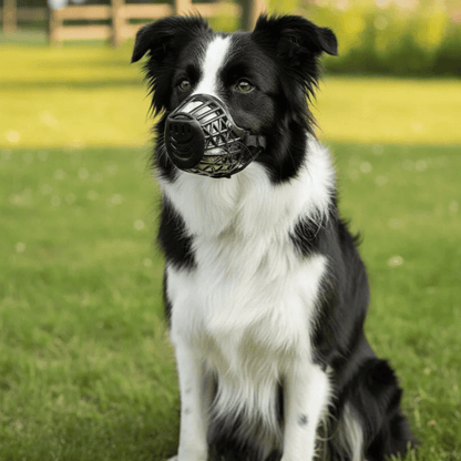 Adjustable Breathable Dog Muzzle for Biting – Lightweight Basket Muzzle for Dogs, Comfortable Fit for All Breeds 2