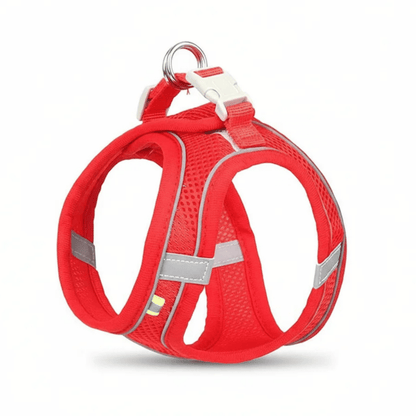 Adjustable Breathable Dog and Cat Harness – Comfortable and Durable for Small Pets 12