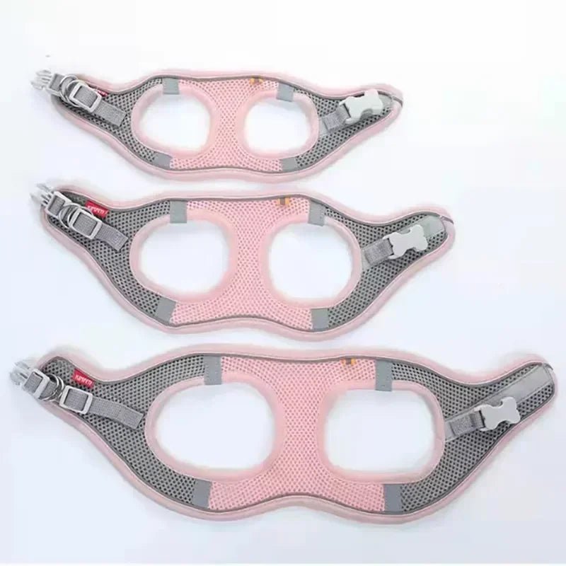 Adjustable Breathable Dog and Cat Harness – Comfortable and Durable for Small Pets 8