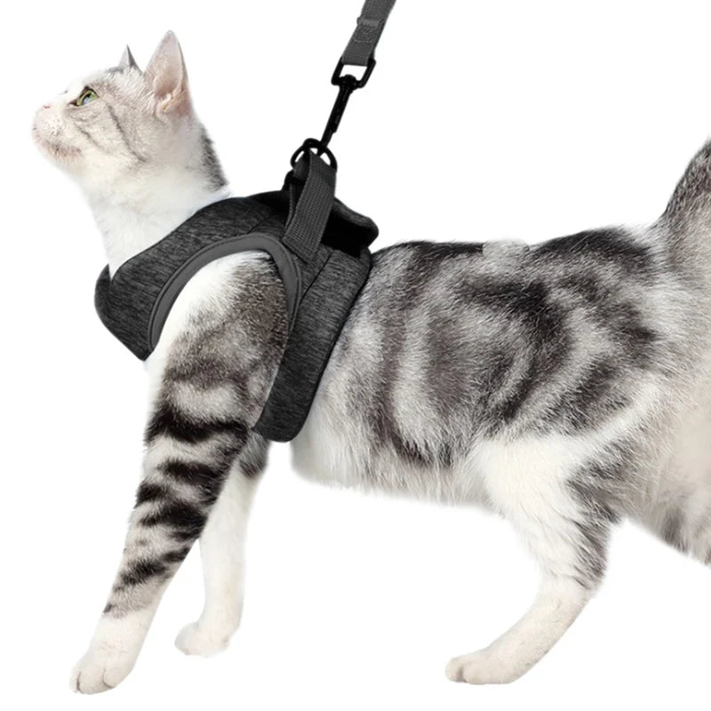 Adjustable Cat Harness and Leash Set for Small to Medium Cats – Comfortable and Secure Walking 3