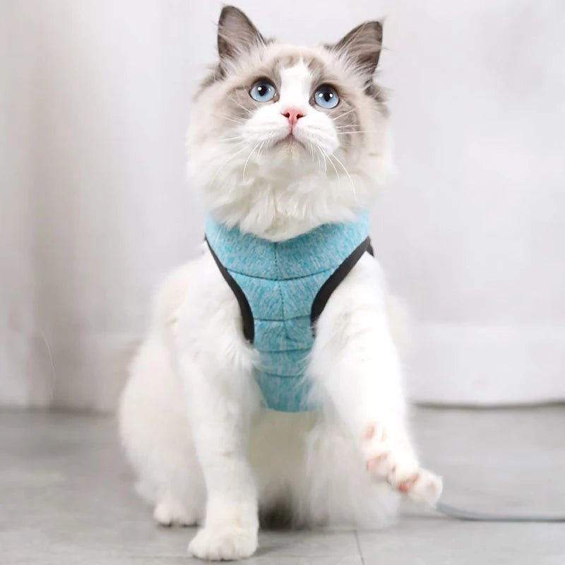 Adjustable Cat Harness and Leash Set with Stylish Design for Small to Medium Cats 1