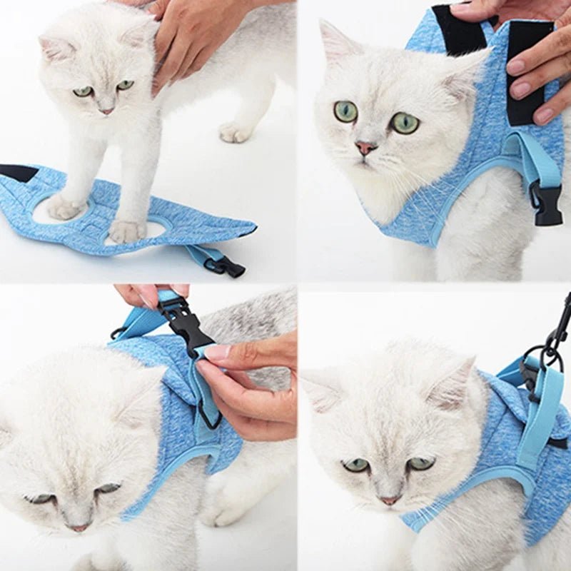 Adjustable Cat Harness and Leash Set with Stylish Design for Small to Medium Cats 5