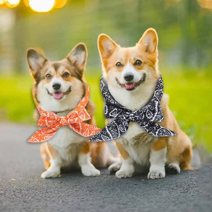 Adjustable Cooling Scarf for Pets – Lightweight Summer Accessory with Gel Packs for Dogs and Cats 1