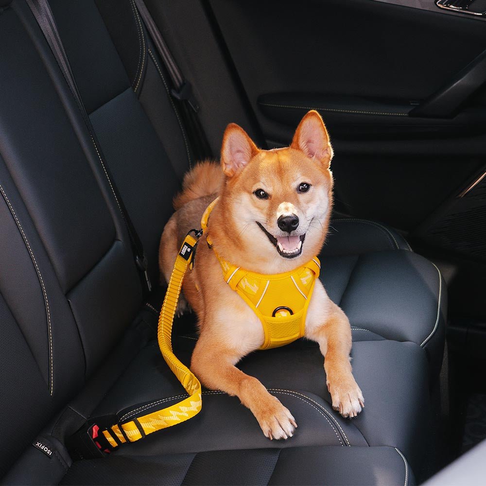 Adjustable Dog Car Leash with Reflective Strip – Safe Travel Leash for Dogs 2