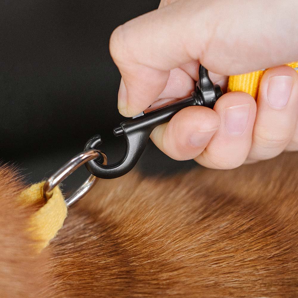 Adjustable Dog Car Leash with Reflective Strip – Safe Travel Leash for Dogs 4