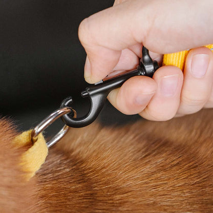 Adjustable Dog Car Leash with Reflective Strip – Safe Travel Leash for Dogs 4