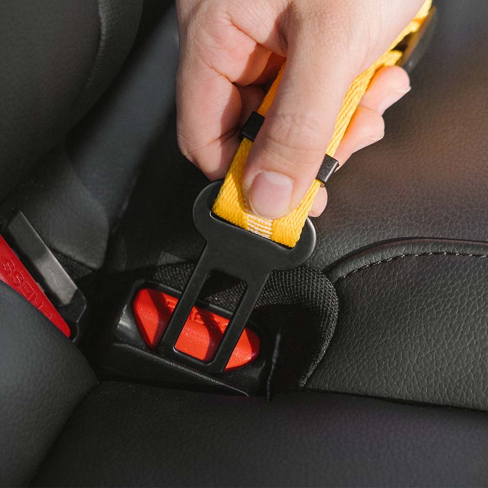 Adjustable Dog Car Leash with Reflective Strip – Safe Travel Leash for Dogs 6