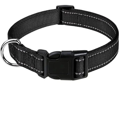 Adjustable Dog Collar for Small to Large Breeds – Comfortable, Secure Fit, Lightweight Design 1