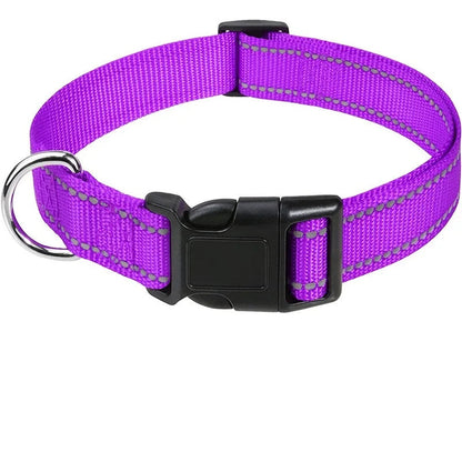 Adjustable Dog Collar for Small to Large Breeds – Comfortable, Secure Fit, Lightweight Design 11