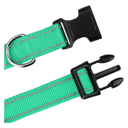 Adjustable Dog Collar for Small to Large Breeds – Comfortable, Secure Fit, Lightweight Design 2