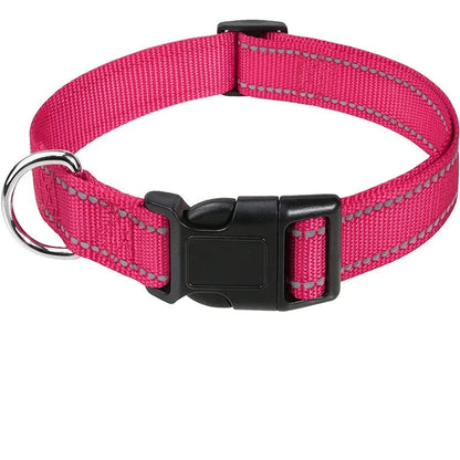 Adjustable Dog Collar for Small to Large Breeds – Comfortable, Secure Fit, Lightweight Design 4