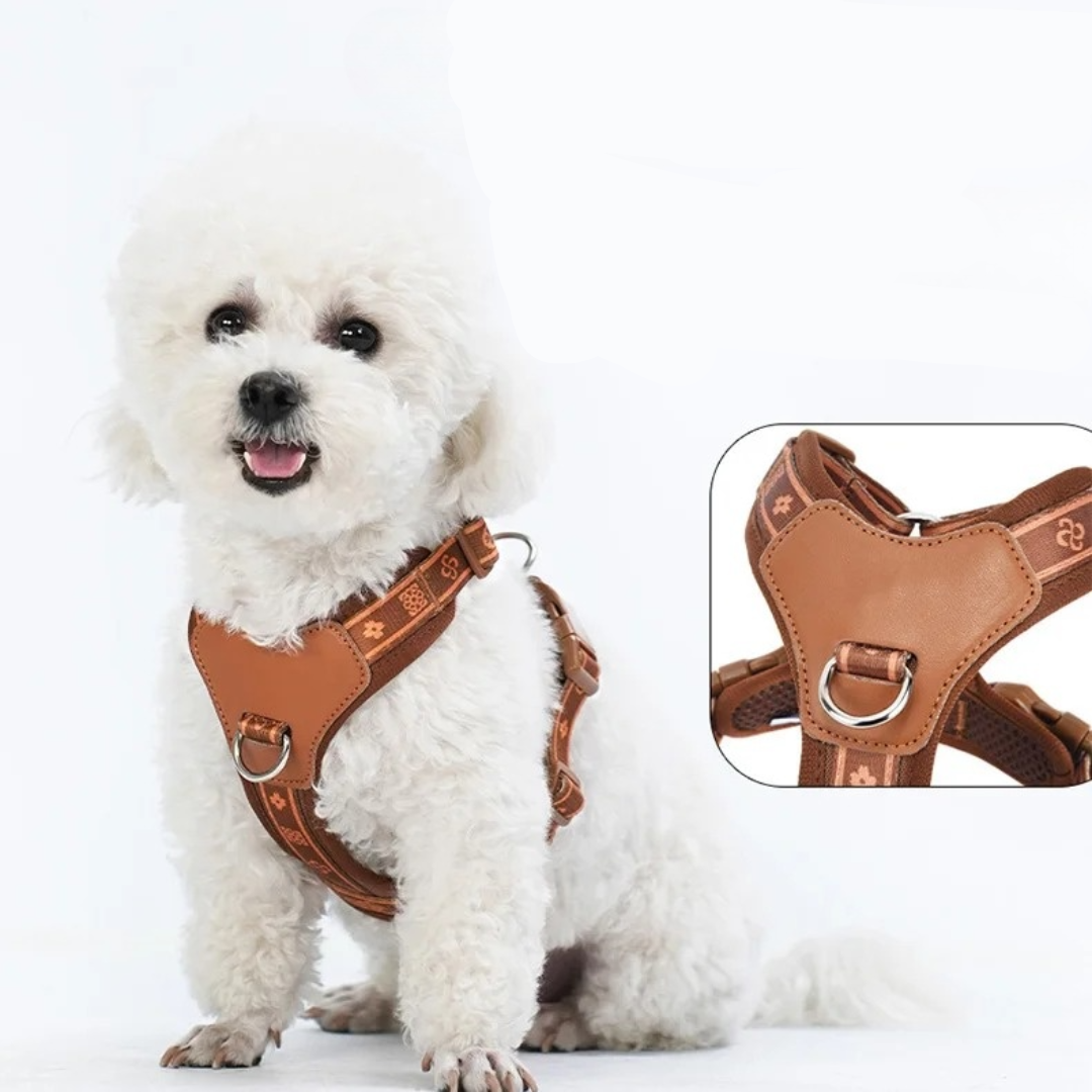 Adjustable Dog Harness for Small to Medium Dogs – Stylish Nylon Design with Reflective Accents and Breathable Mesh Lining 1