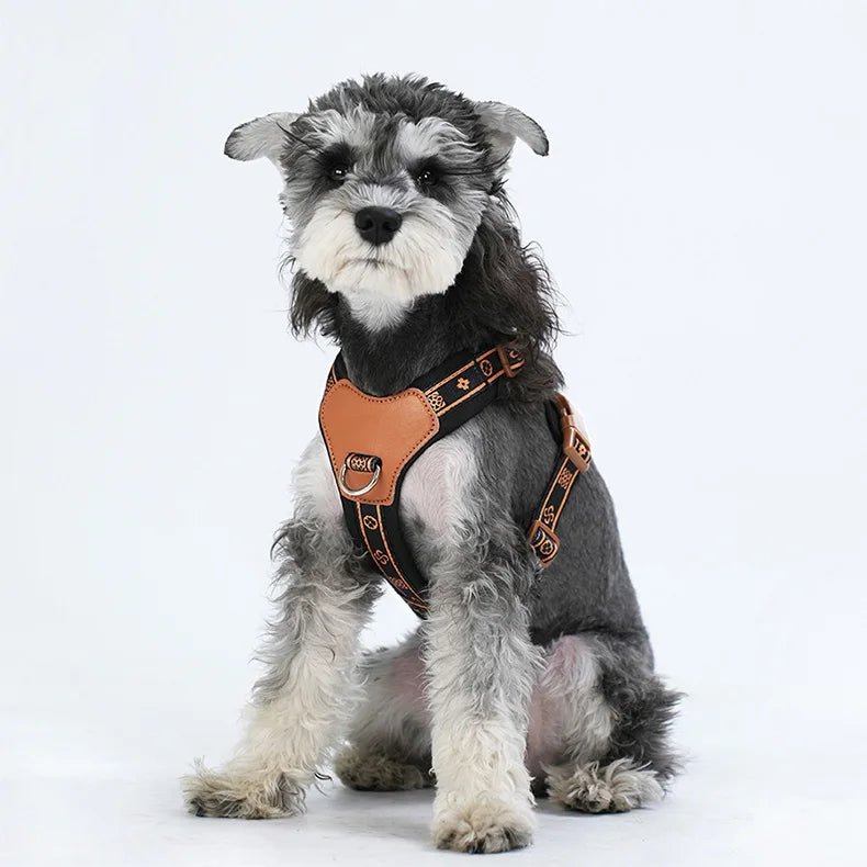 Adjustable Dog Harness for Small to Medium Dogs – Stylish Nylon Design with Reflective Accents and Breathable Mesh Lining 3