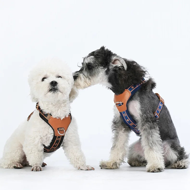 Adjustable Dog Harness for Small to Medium Dogs – Stylish Nylon Design with Reflective Accents and Breathable Mesh Lining 6