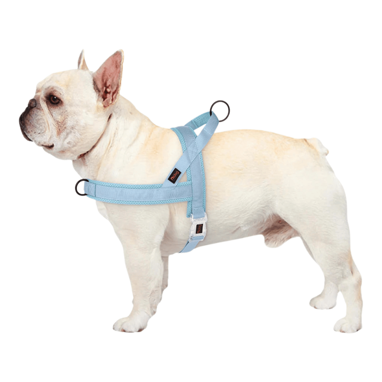 Adjustable Dog Harness with Padded Comfort and Handle – Durable Nylon for All Breeds 1