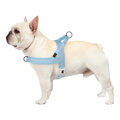 Adjustable Dog Harness with Padded Comfort and Handle – Durable Nylon for All Breeds 1