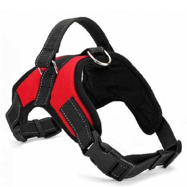 Adjustable Dog Harness with Padded Fit for All Sizes – Quick On and Off Design 0