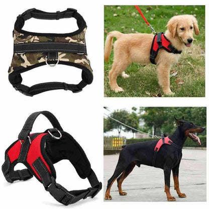 Adjustable Dog Harness with Padded Fit for All Sizes – Quick On and Off Design 1