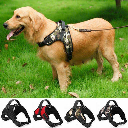 Adjustable Dog Harness with Padded Fit for All Sizes – Quick On and Off Design 2